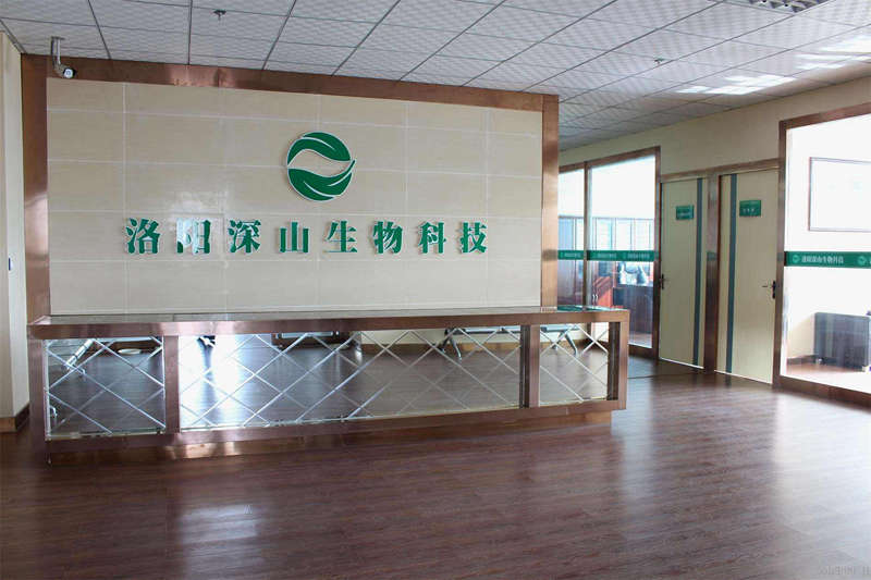 深圳工装公司